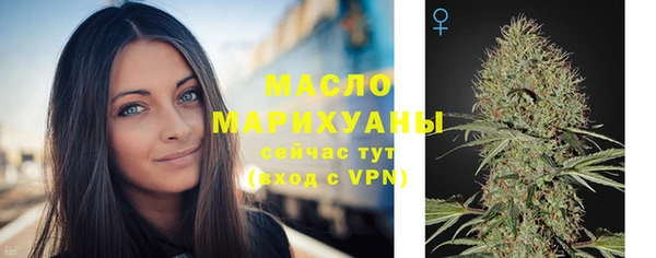 соль ск Богородицк