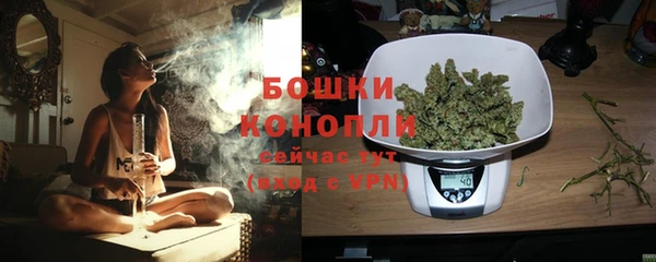 ешки Богданович