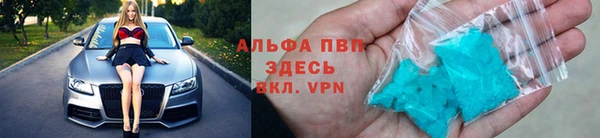 ешки Богданович