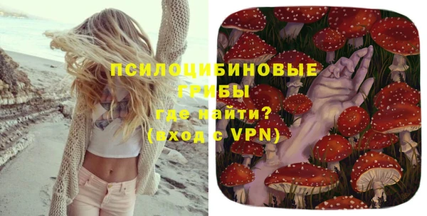 ешки Богданович