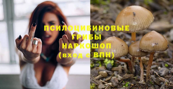 соль ск Богородицк