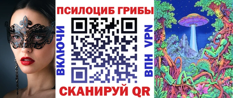 блэк спрут сайт цена Калининград Псилоцибиновые грибы GOLDEN TEACHER